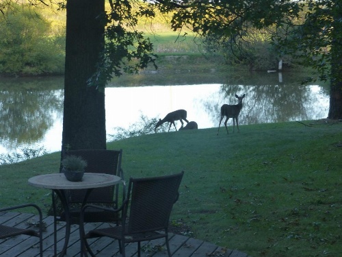 The Inn at White Oak image 44